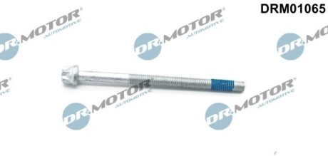 Болт з фігурною головкою DR.MOTOR DRM01065