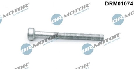 Болт з фігурною головкою DR.MOTOR DRM01074