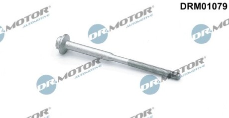 Болт з фігурною головкою DR.MOTOR DRM01079