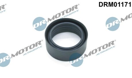 Кільце гумове DR.MOTOR DRM01171