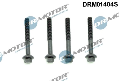 Комплект болтів двигуна з шестигранною головкою DR.MOTOR DRM01404S