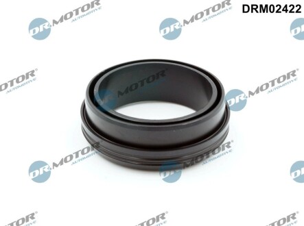 Кільце гумове DR.MOTOR DRM02422