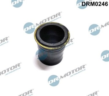 Кільце гумове DR.MOTOR DRM0246