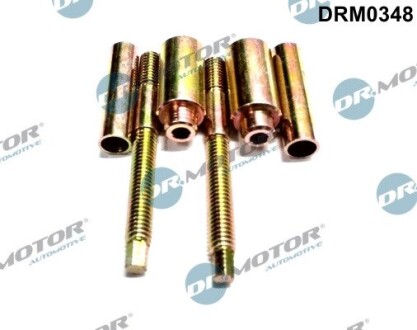 Комплект болтів двигуна з фігурною головкою DR.MOTOR DRM0348