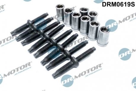 Комплект болтів двигуна з фігурною головкою DR.MOTOR DRM0619S