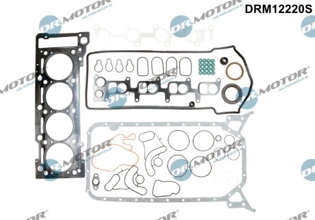 Комплект прокладок з різних матеріалів DR.MOTOR DRM12220S