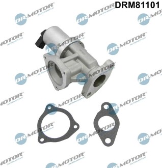 Клапан рециркуляції газів DR.MOTOR DRM81101