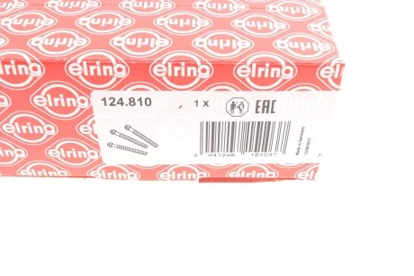 Болти головки блоку циліндрів (комплект) ELRING 124.810 (фото 1)