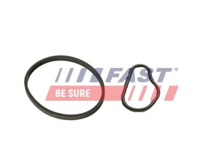 Комплект прокладок вакуумного насоса Citroen Berlingo (08-) 1.6 HDI/BLUEHDI FAST FT48943