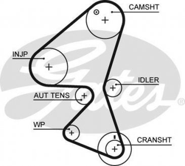 Пасок ГРМ Fiat/Ford/PSA/Volvo 1.6D/1.6HDI/1.6Multijet/1.6TDCii 05- Gates 5598XS