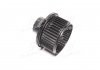Мотор вентилятора отопителя Hyundai/Kia/Mobis 971132P000 (фото 1)