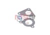 Комплект прокладок турбины GARRETT GT1749V RENAULT LAGUNA II (BG0/1_) 01-07,MEGANE II (BM0/1_) 02-08 JRONE 2090-505-227 (фото 2)