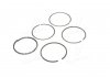 RINGSET OPEL 75,000 KOLBENSCHMIDT 800020410000 (фото 1)