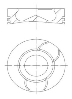 Поршень MAHLE / KNECHT 021 PI 00124 000 (фото 1)