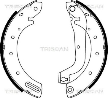 Колодки тормозные задние барабанные TRISCAN 810014596