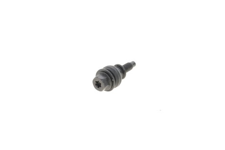 Болт внутр. TORX с резиновой втулкой AUDI/VW VAG 06J103831