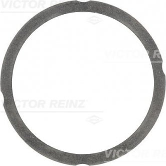 Прокладка головки циліндра VICTOR REINZ 612547520 (фото 1)